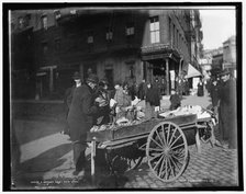 A banana cart, New York, c1900. Creator: Byron Company.