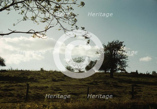 Field or pasture, between 1941 and 1942. Creator: Unknown.