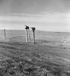 The rolling lands used for grazing near Mills, New Mexico, 1935. Creator: Dorothea Lange.