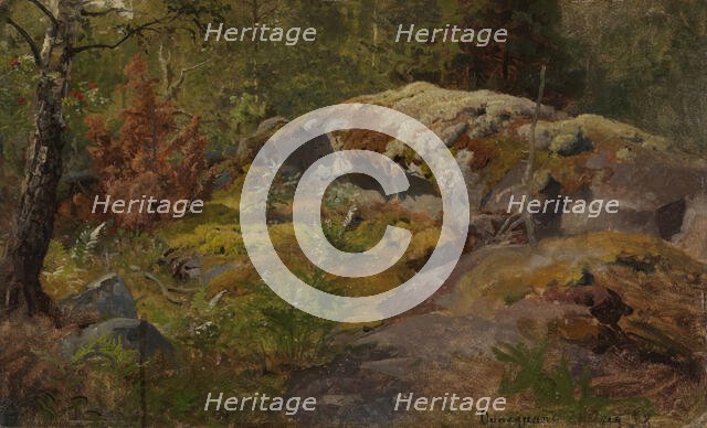 Forest Floor, 1858. Creator: Hans Gude.