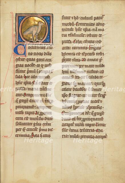 A Quail; De Natura Avium; De Pastoribus et Ovibus; Bestiarium, 1277 or after. Creator: Unknown.