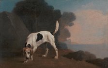Foxhound;Foxhound on the Scent, ca. 1760. Creator: George Stubbs.