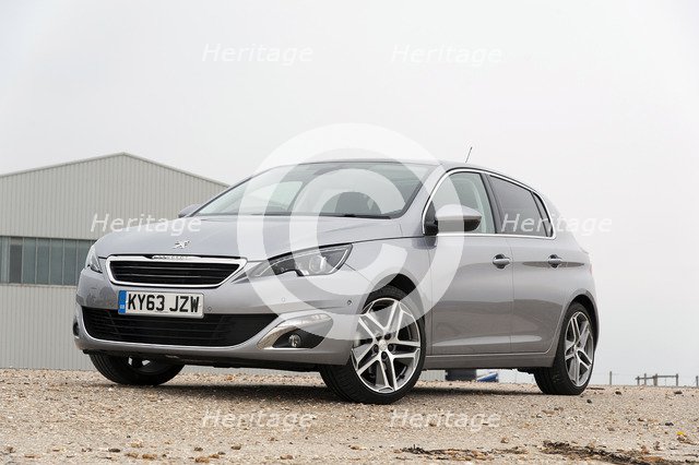 2014 Peugeot 308 THP 156 Feline Artist: Unknown.