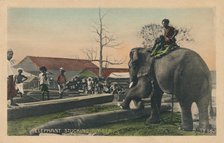 'Elephant Stucking Timber',  c1900. Artist: Unknown.