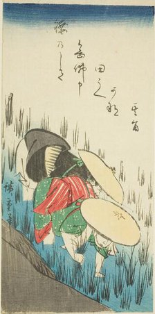 Planting rice, n.d. Creator: Ando Hiroshige.