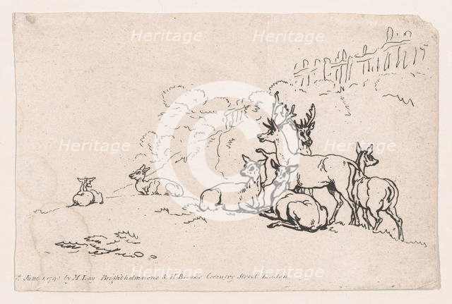 Deer (from Plate 3, Outlines of Figures, Landscapes and Cattle...for the Use of Le..., June 1, 1790. Creator: Thomas Rowlandson.