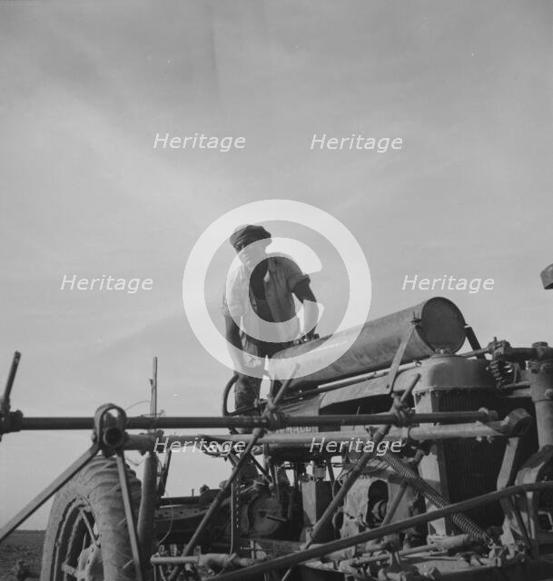 Negro tractor driver, Aldridge Plantation, Mississippi, 1937. Creator: Dorothea Lange.