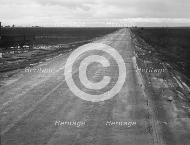 County road between potato fields, Kern County, California , 1939. Creator: Dorothea Lange.