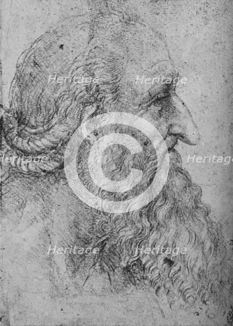 'Profile of an Old, Bearded Man to the Right', c1480 (1945). Artist: Leonardo da Vinci.