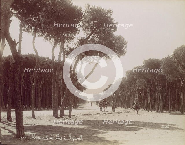 Promenade des Pins à Beyrouth, ca. 1870. Creator: Felix Bonfils.