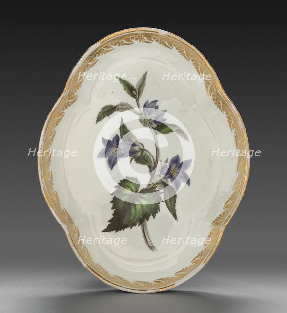 Quatrelobed Dish from Dessert Service: Nettle-leaved Bell Flower, c. 1800. Creator: Derby (Crown Derby Period) (British).
