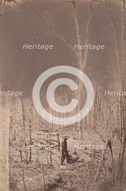 The Wilderness Battlefield, 1864. Creator: Unknown.