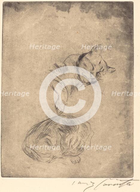 Katzenstudie (Study of Cats), 1920. Creator: Lovis Corinth.