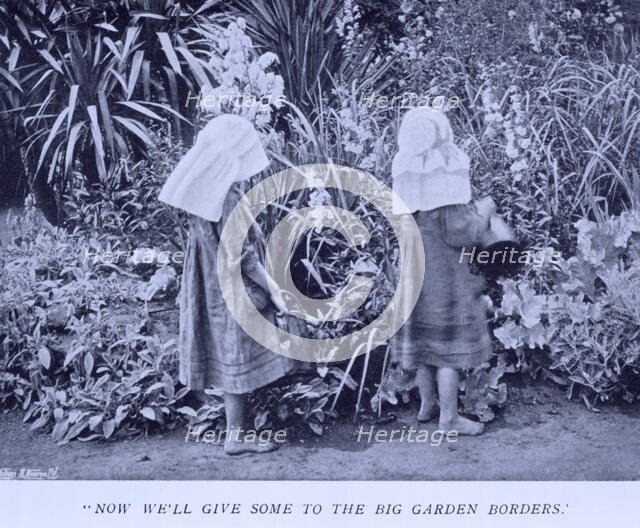 "Now we'll give some to the big garden borders", 1908.  Creator: Unknown.