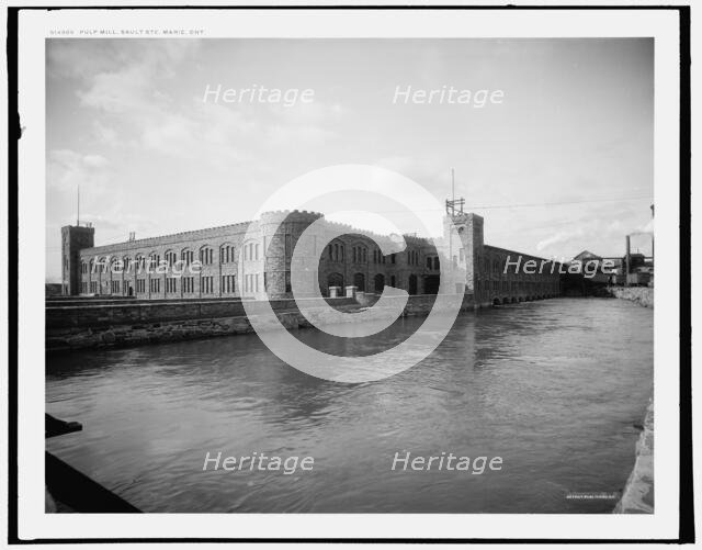 Pulp mill, Sault Ste. Marie, Ont., (1902?). Creator: William H. Jackson.