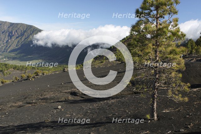Llano del Jable, La Palma, Canary Islands, Spain, 2009. 