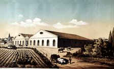 Exterior view of the building and vineyards of Bodegas of Jerez de la Frontera, lithography from …