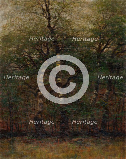 Inside of Birch Forest, 1900-1910. Creator: Ladislav Mednyanszky.