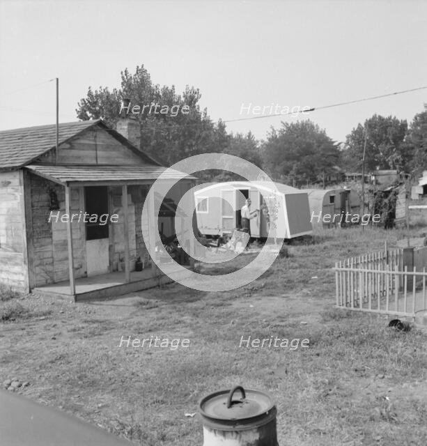 Yakima shacktown, (Sumac Park) is one of several large shacktown communities..., Washington, 1939. Creator: Dorothea Lange.