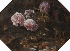 Frogs, Wild Roses, Shells and Butterflies, mid-late 17th century. Creator: Paolo Porpora.