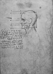 'Study of a Man's Nude Torso, the Head Squared for Proportion', c1480 (1945). Artist: Leonardo da Vinci.