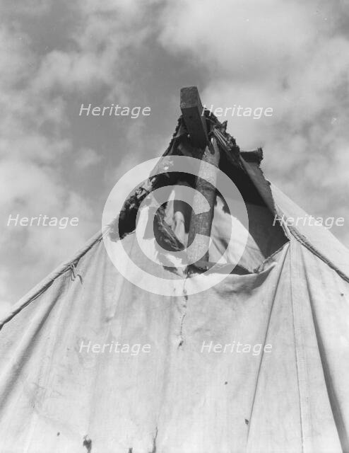 Pea picker's tent near San Jose, California, 1939. Creator: Dorothea Lange.