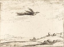 Bird of Paradise. Creator: Jacques Callot.