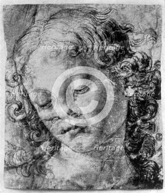 The head of an angel, 15th century (1930).Artist: Andrea del Verrocchio