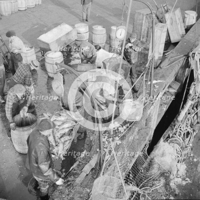 Stevedores at the Fulton fish market unloading fish from boats caught..., New York, 1943. Creator: Gordon Parks.