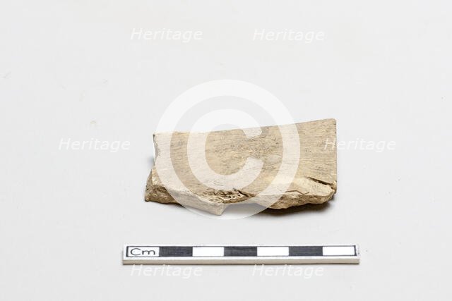 Oracle bone, incribed, Shang dynasty, ca. 1600 - ca. 1050 BCE. Creator: Unknown.