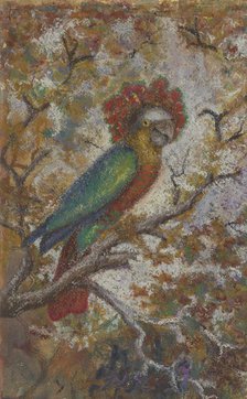 Parrot, 1909. Creator: William N. Buckner.