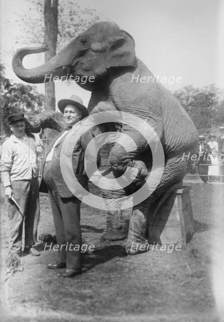 Stewart & elephant, between c1915 and c1920. Creator: Bain News Service.