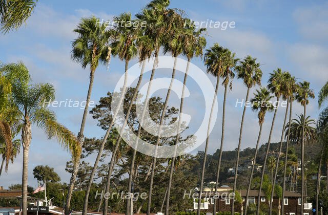 La Jolla, California, USA, 2022. Creator: Ethel Davies.
