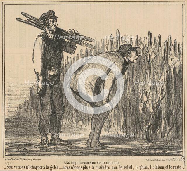 Les inqiétudes du viticulteur, 19th century. Creator: Honore Daumier.