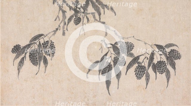 Fruit, unknown date, c1450-1509. Creator: Shen Zhou.