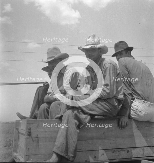 Arkansas sharecroppers going home, near Blytheville..., 1936. Creator: Dorothea Lange.