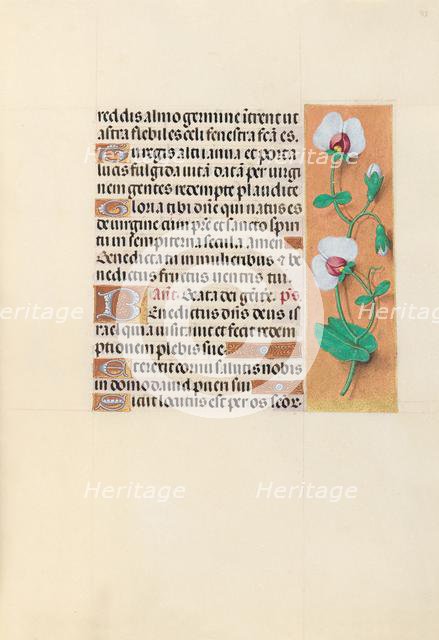 Hours of Queen Isabella the Catholic, Queen of Spain: Fol. 123r, c. 1500. Creator: Master of the First Prayerbook of Maximillian (Flemish, c. 1444-1519); Associates, and.