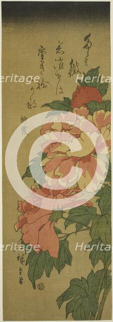 Peonies, c. 1843/47. Creator: Ando Hiroshige.