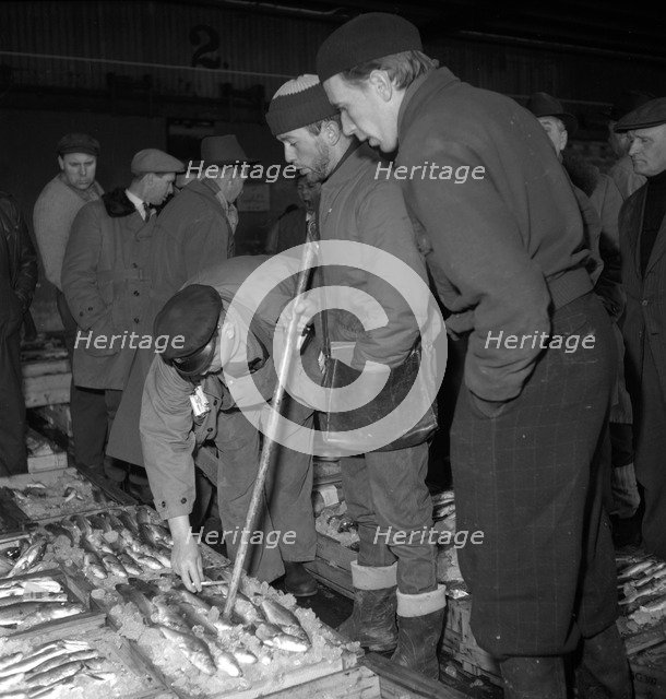 Wholesalers and fishmongers at the fish auction, Gothenburg, Sweden, 1960. Artist: Torkel Lindeberg
