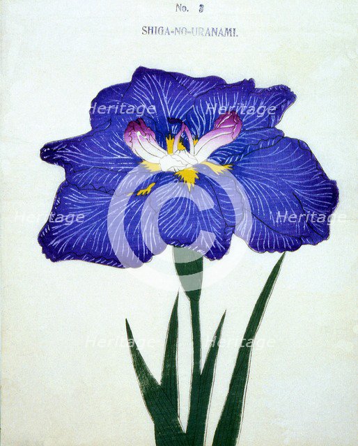 Shiga-No-Uranami, No. 3.