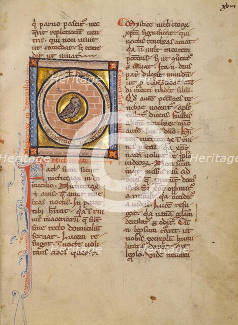 An Owl; Bestiary, about 1270. Creator: Unknown.