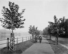 River Drive, Fairmount Park, Philadelphia, between 1900 and 1906. Creator: Unknown.
