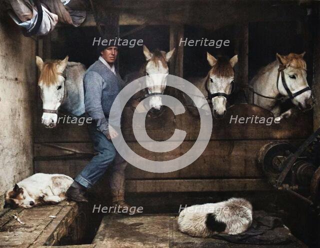 'Captain Oates, on the "Terra Nova" with the Siberian Ponies', c1911, (1914).  Creator: Herbert Ponting.