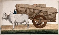 A man driving a loaded bullock cart, (between 1800 and 1899?). Creator: Unknown.