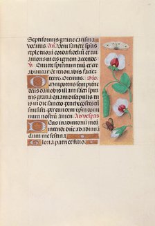 Hours of Queen Isabella the Catholic, Queen of Spain: Fol. 35r, c. 1500. Creator: Master of the First Prayerbook of Maximillian (Flemish, c. 1444-1519); Associates, and.