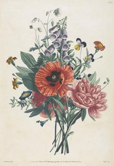 Collection of Flowers and Fruits Painted after Nature: Bouquet of Foxglove, Clematis..., 1805. Creator: Louis Charles Ruotte (French, 1754-1806); Jean Louis Prévost.
