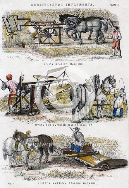 Agricultural implements, 19th century. Artist: Unknown