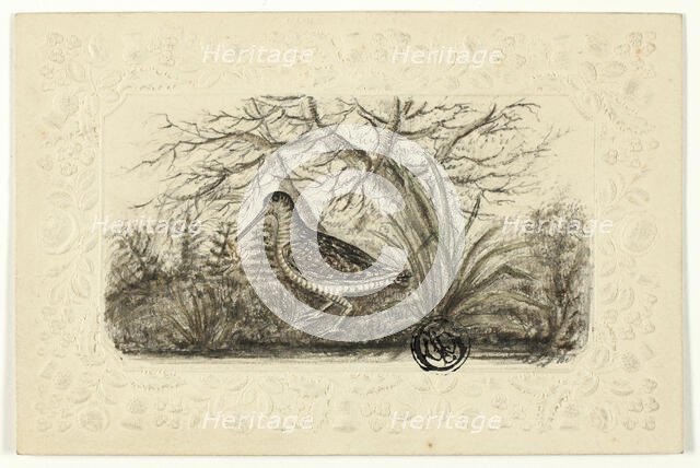 Grouse, n.d. Creator: Henry LeJeune.