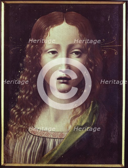  'Head' work by Leonardo da Vinci.