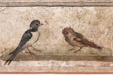 Swallow and Sparrow, Roman wall painting from Boscoreale near Pompeii, 1st century Artist: Unknown.